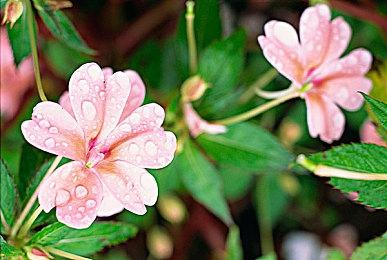 2025科隆展KRAFTON现场展台活动公开